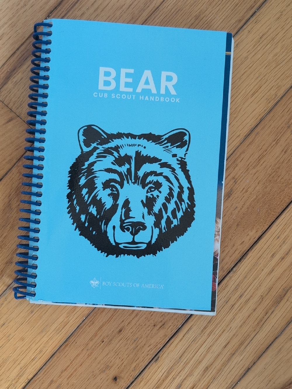 Bear Cub Scout Handbook - Blue